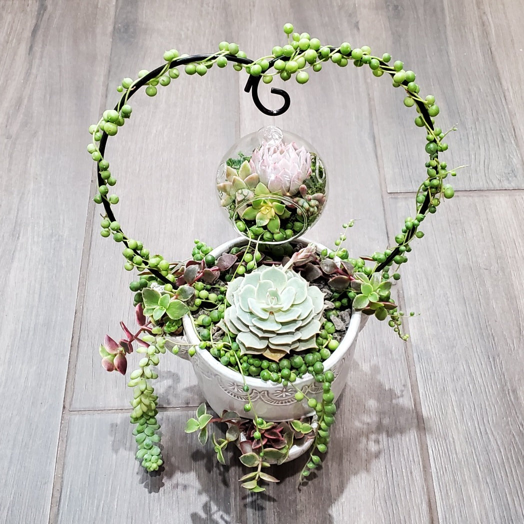 Hanging Terrarium Heart Trellis Arrangement Kit